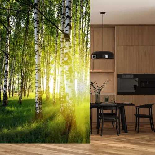 Sticker Birken im Sommer Wald