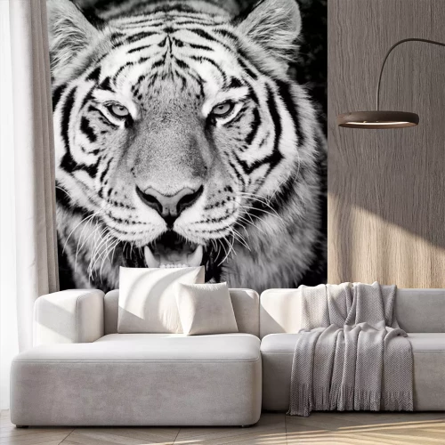 Fototapete Tiger mit eckzähnen