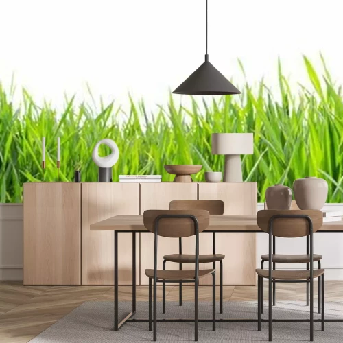 Fototapete Grünes Gras vor weißem Hintergrund