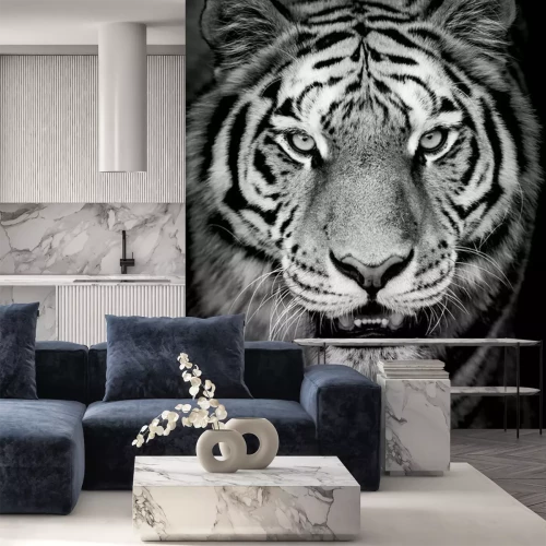 Fototapete Schwarz-weiß-porträt eines tigers