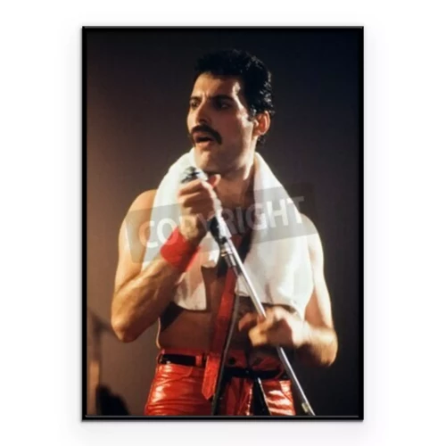 Poster LEIDEN, DIE NIEDERLANDE - 27. NOVEMBER 1980: Freddy Mercury Sängerin der britischen Band Queen bei einem Konzert in den Groenoordhallen in Leiden in den Niederlanden