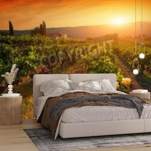 Fototapete Orangefarbener Sonnenuntergang hinter dem Weingut