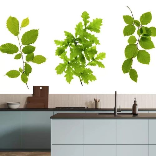 Sticker Grüne Blätter isoliert auf weiß.