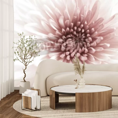 Fototapete Blumen 3d