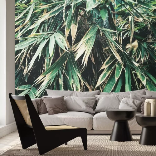 Fototapete Echte Bambusblätter