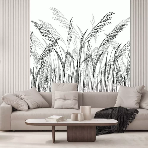 Fototapete Schwarz-weiße Gräser