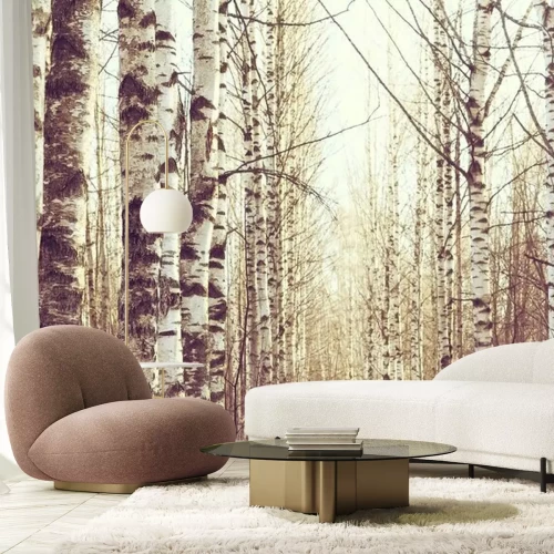 Fototapete Märzlandschaft eines Birkenwaldes