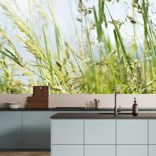 Fototapete Nahaufnahme von Feldgräsern