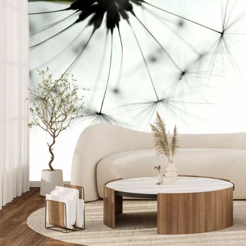 Fototapete Makrofotografie einer Pusteblume