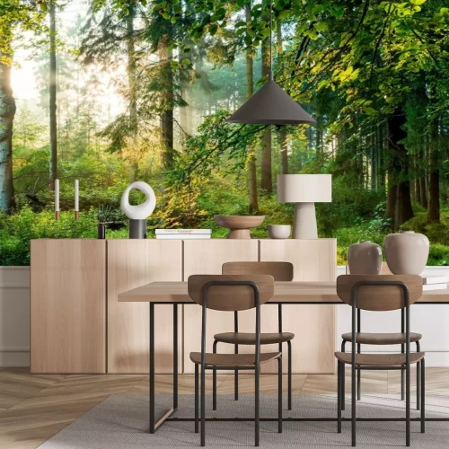 Fototapete Sonnenaufgang im Wald