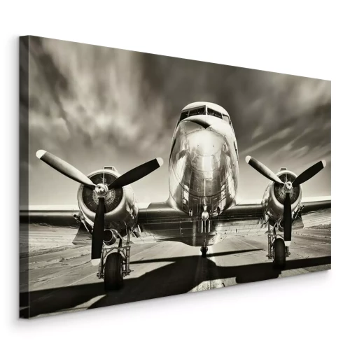 Bild Ein Flugzeug auf einem Schwarzweißfoto