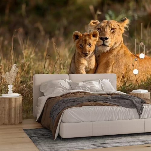Fototapete Löwenfamilie