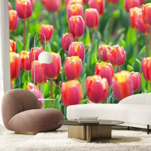 Sticker Große Tulpenblüten