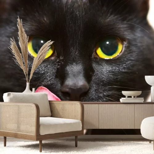 Sticker Nahaufnahme von Schnauze und Zunge einer Katze