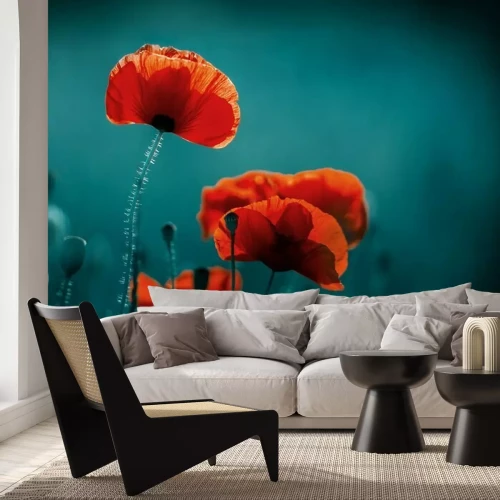 Fototapete Rote Mohnblumen vor unscharfem Hintergrund