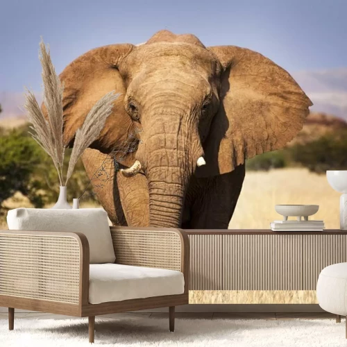 Fototapete Afrikanischer Elefant in der Savanne