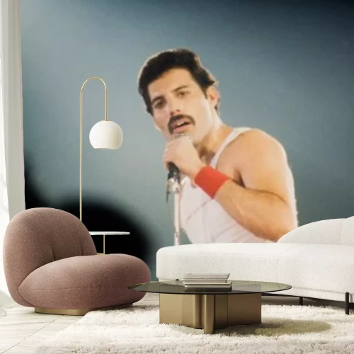 Fototapete Freddie Mercury bei einem Konzert