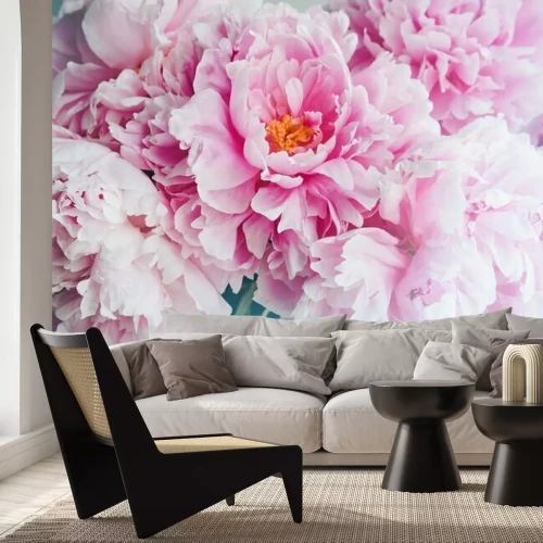 Fototapete Blühende rosa Pfingstrosen auf blauem Hintergrund