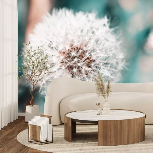 Fototapete Nahaufnahme einer Pusteblume