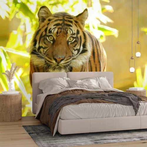 Fototapete Wildes tier im dschungel