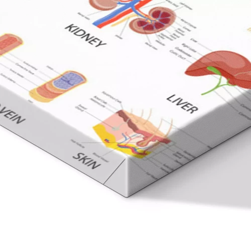 Visualisierung des Produkts