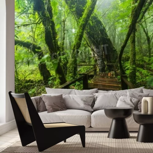 Fototapete Steg im Dschungel