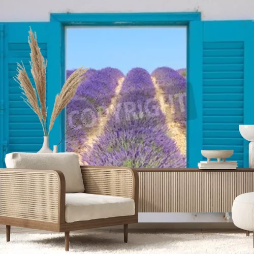 Fototapete Feld vor einem türkisem fenster