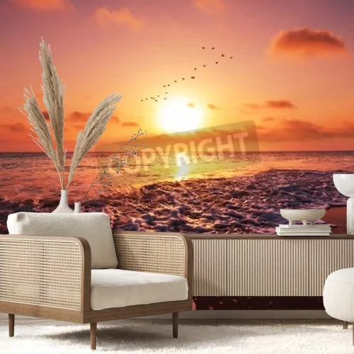 Fototapete Meer Vögel und Sonnenuntergang