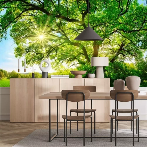 Fototapete Wiese mit Baum an einem sonnigen Tag