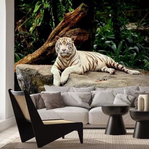 Fototapete Tigre allongé