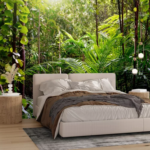 Fototapete Pflanzen und Lianen im Dschungel