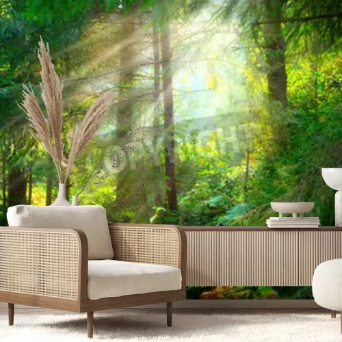 Fototapete Schöne neblige Landschaft grüner Wald