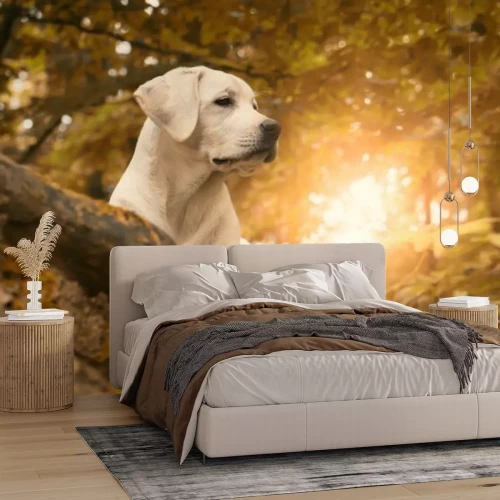Fototapete Labradorhund vor einer Herbstlandschaft