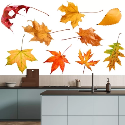 Sticker Herbst und Blätter auf einem weißen Hintergrund isoliert Sammlung