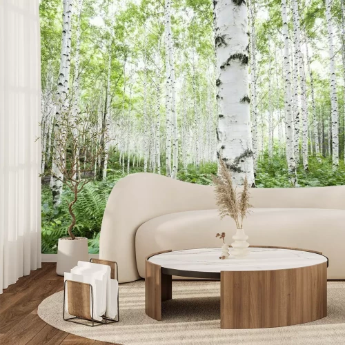 Fototapete Weiße Birken im Wald im Sommer