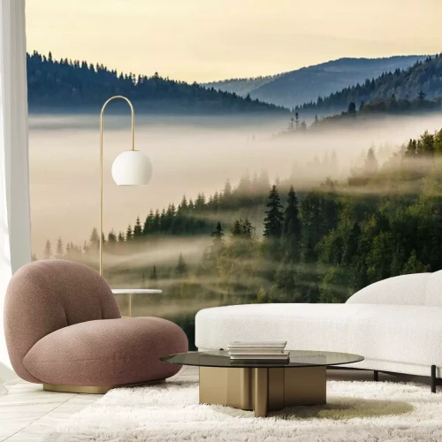 Fototapete Morgennebel über einem Fichtenwald