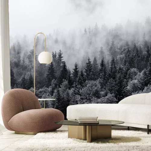 Fototapete Bäume Nebel schwarz-weiß