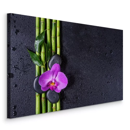 Bild Orchideen-Zen-Steine und Bambuszweige