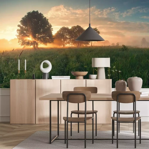 Fototapete Bunte Frühling Sonnenaufgang auf der Wiese