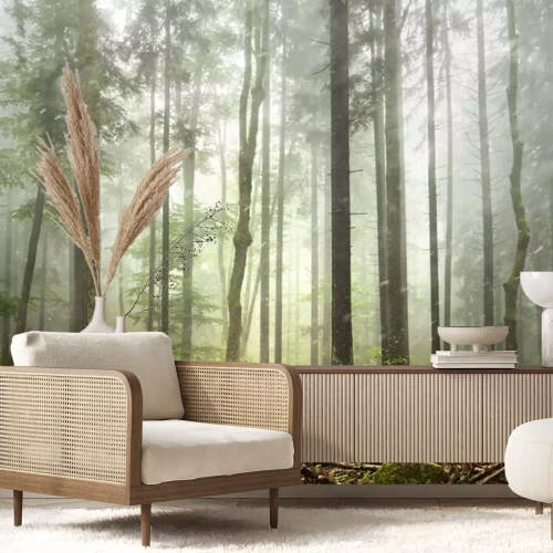 Fototapete Waldbäume und -sträucher