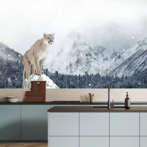 Fototapete Puma auf einem Felsen im Hintergrund schneebedeckte Berge