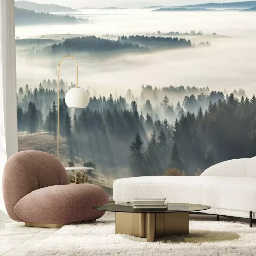 Fototapete Morgennebel und wald in der sonne