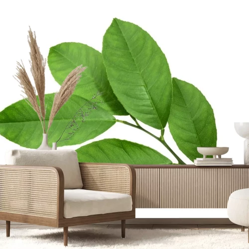 Sticker Zitrone Blatt isoliert auf weißem Hintergrund