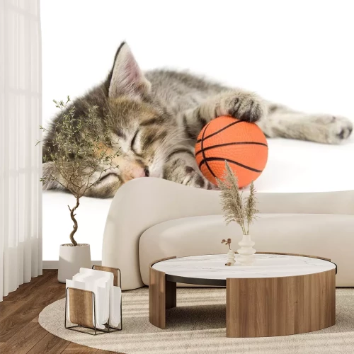 Sticker Tiere schlafende Katze mit Basketball