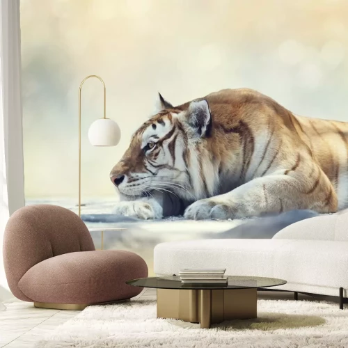 Fototapete Tiger ruht auf einem Felsen