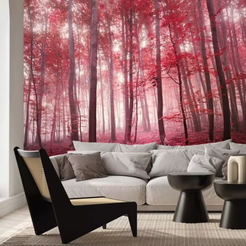 Fototapete Roter zauberwald