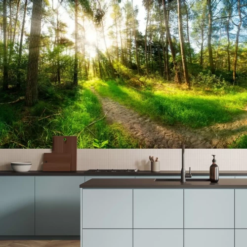 Fototapete Morgen im Wald