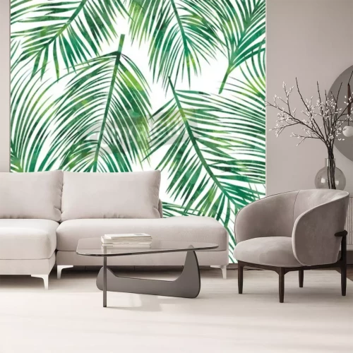 Fototapete Natürliches Motiv der Palmenblätter