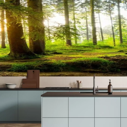 Fototapete Ein sonniger grüner Wald