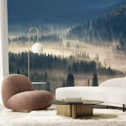 Fototapete Den wald erhellende sonnenstrahlen